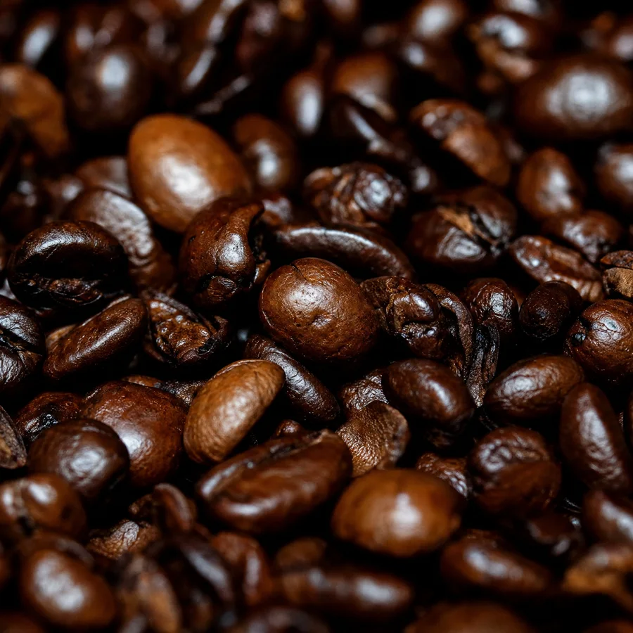 Grains de café fraîchement torréfiés